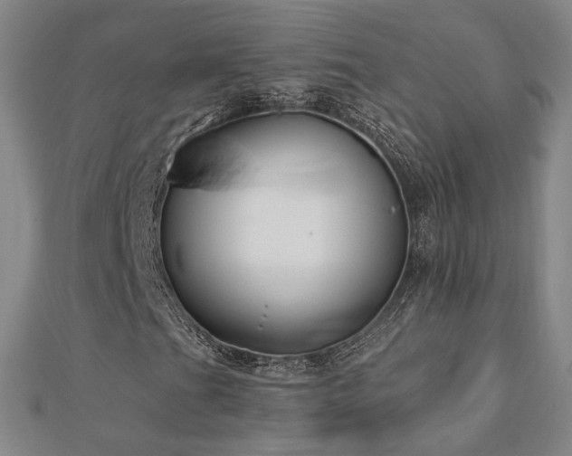 X0000112891201200908211446