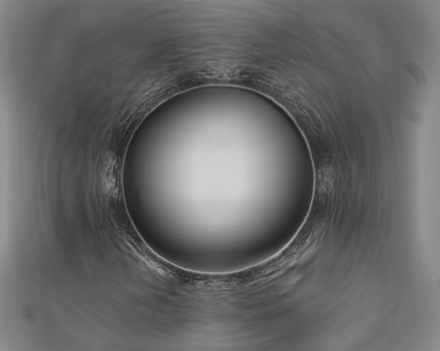 X0000112891202200908211446