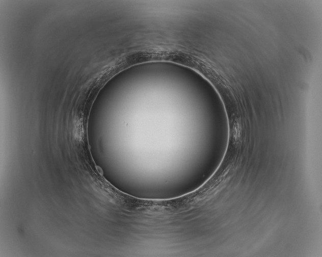 X0000112891204200908211446