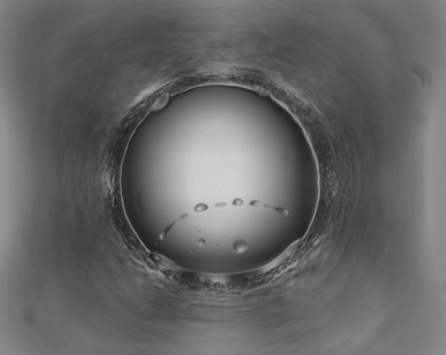 X0000112891206200908211446