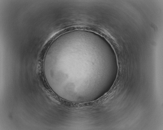 X0000112891208200908211446