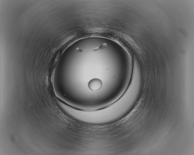 X0000112891209200908211446