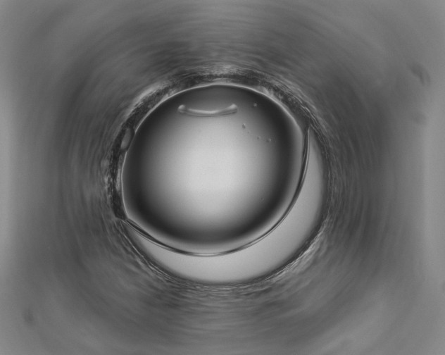 X0000112891210200908211446