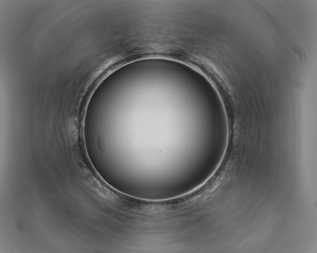 X0000112891212200908211446