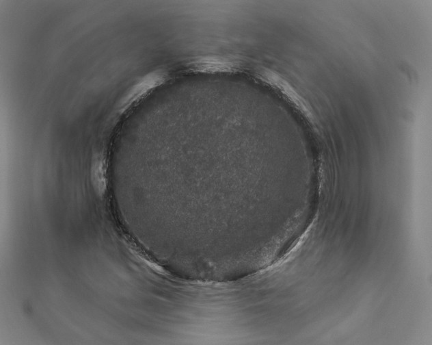X0000112891213200908211446