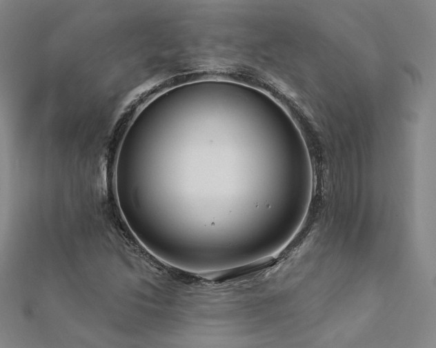 X0000112891214200908211446