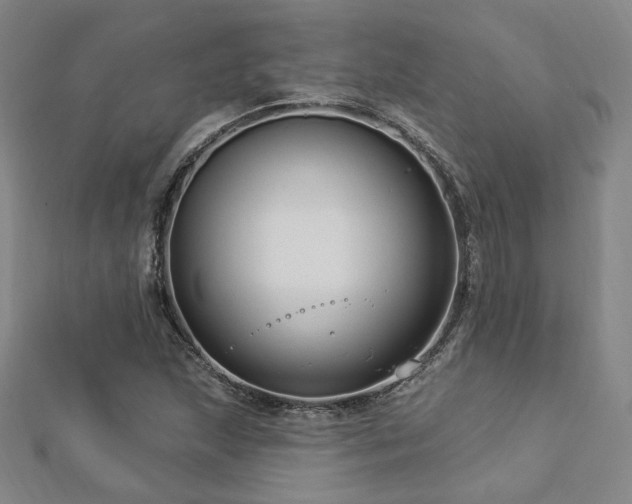 X0000112891215200908211446