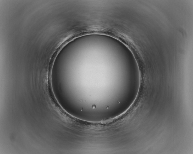 X0000112891220200908211446