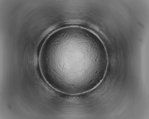 X0000112891221200908211446