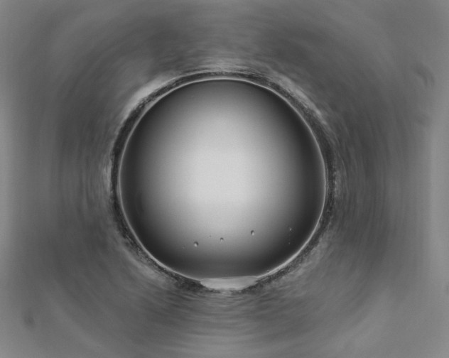 X0000112891222200908211446