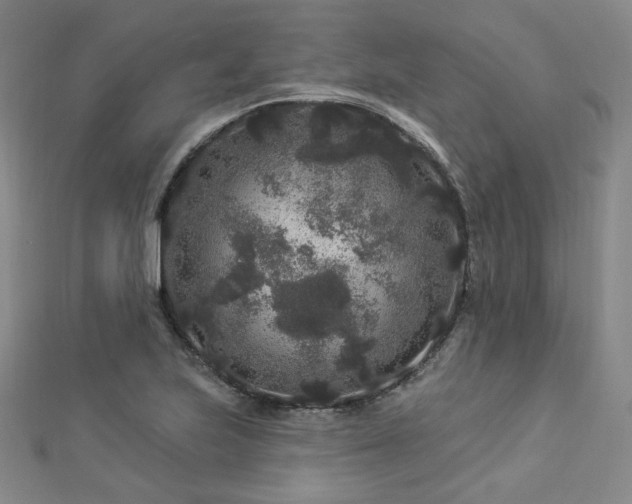 X0000112891223200908211446