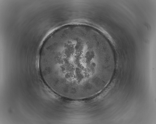 X0000112891224200908211447