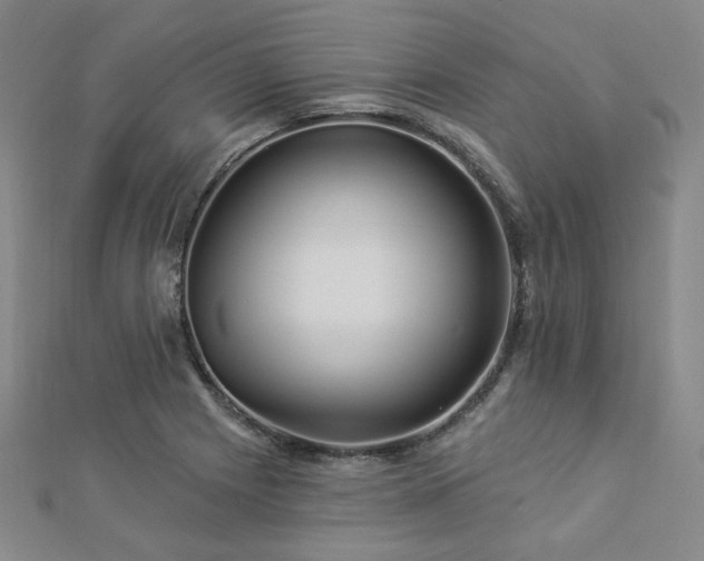 X0000112891225200908211447