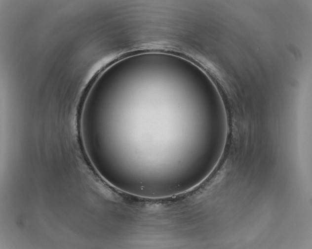 X0000112891230200908211447