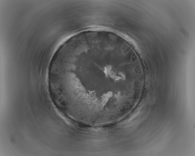 X0000112891231200908211447