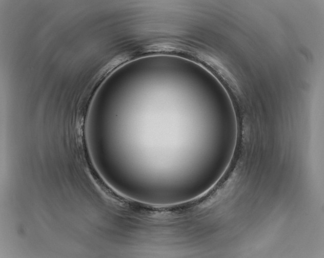 X0000112891233200908211447