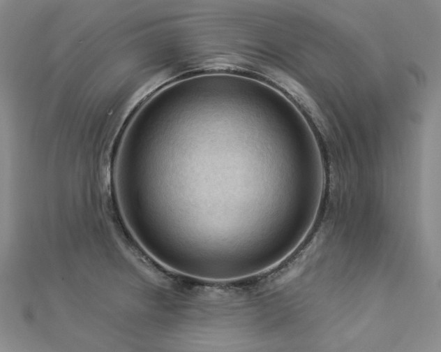 X0000112891234200908211447