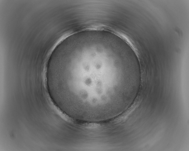 X0000112891235200908211447