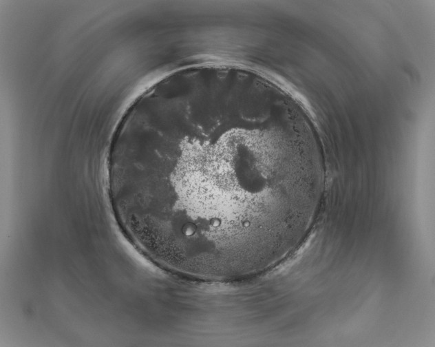 X0000112891239200908211447