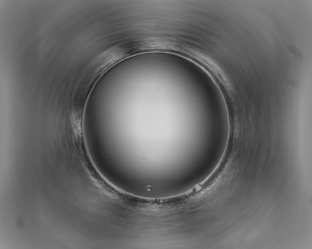 X0000112891241200908211447