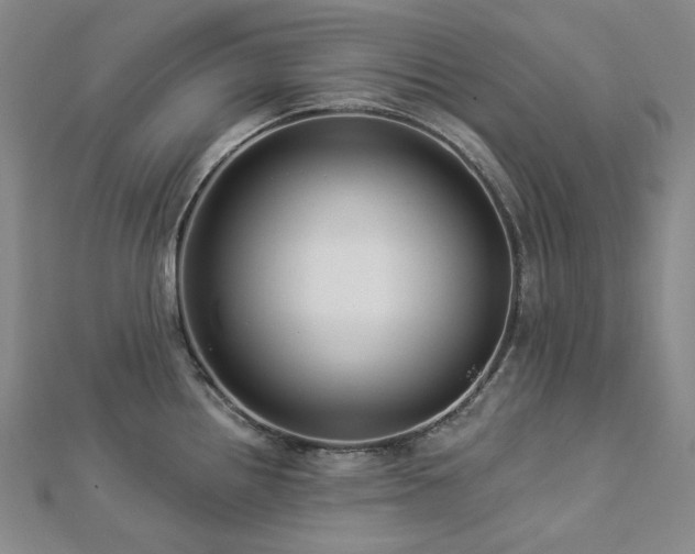 X0000112891242200908211447