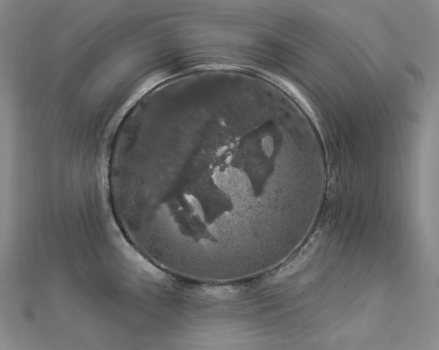 X0000112891243200908211447