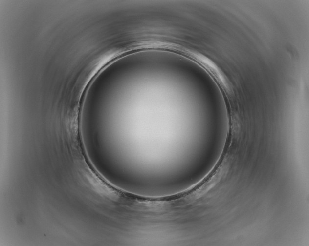 X0000112891244200908211447