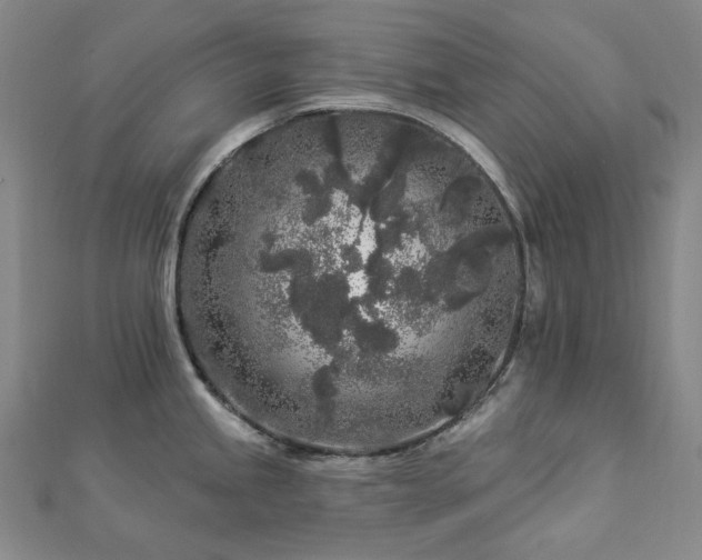 X0000112891245200908211447