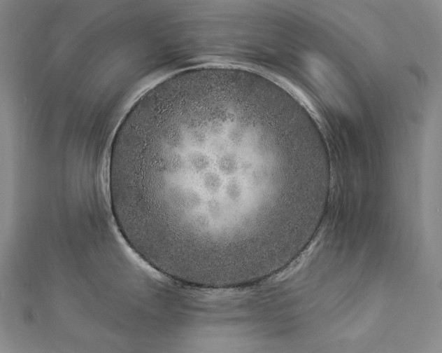 X0000112891247200908211447