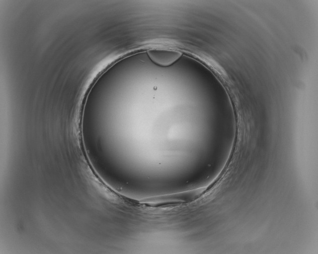 X0000112891248200908211447