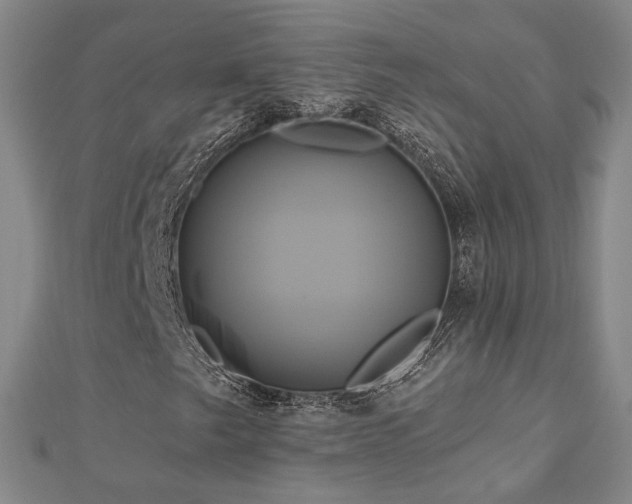 X0000112891249200908211446