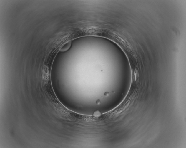X0000112891251200908211446