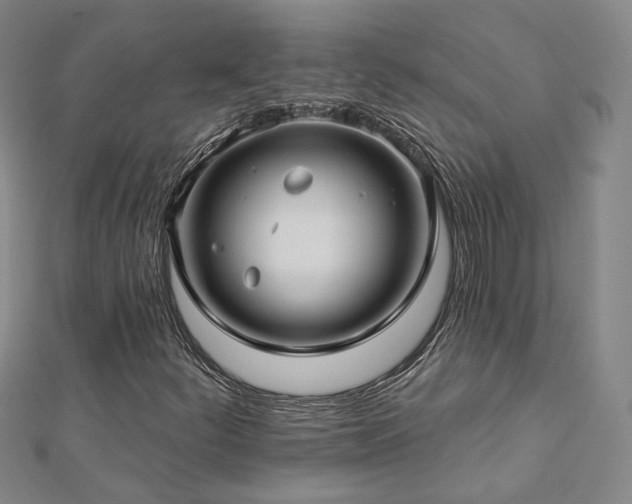 X0000112891252200908211446