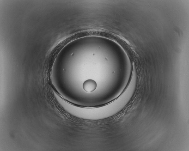 X0000112891255200908211446
