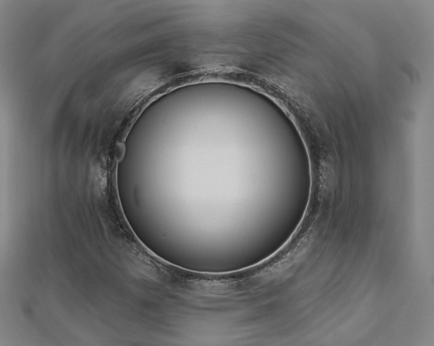 X0000112891257200908211446