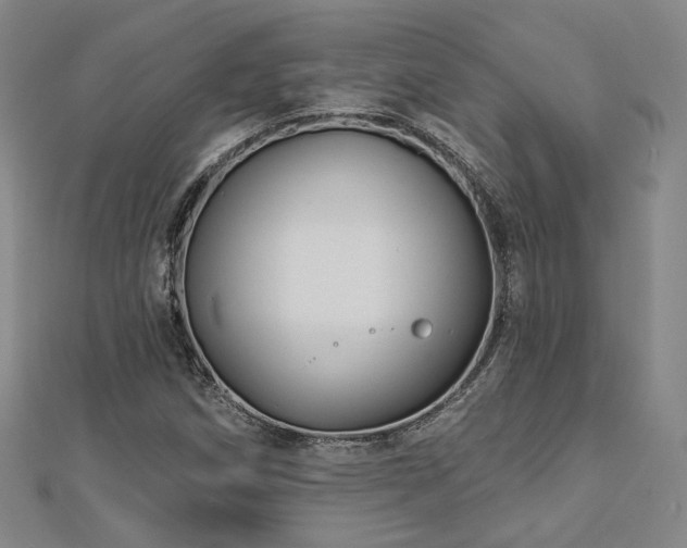 X0000112891258200908211446
