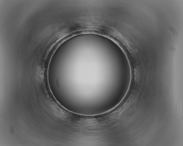 X0000112891260200908211446
