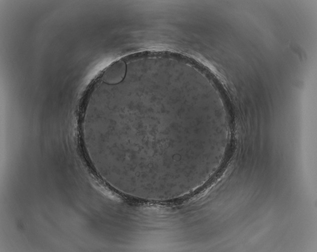 X0000112891263200908211446