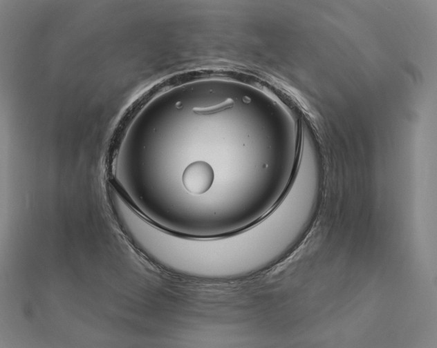 X0000112891264200908211446