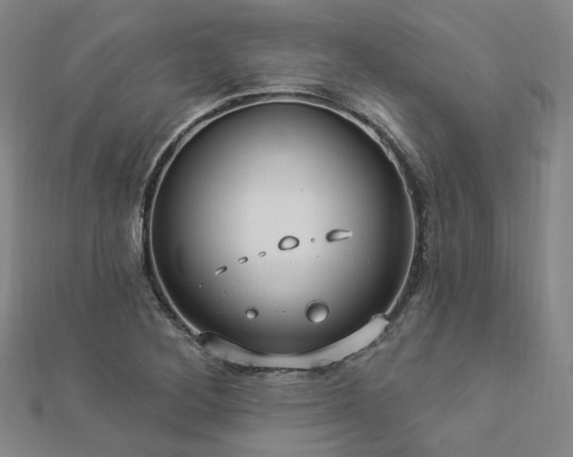 X0000112891268200908211446