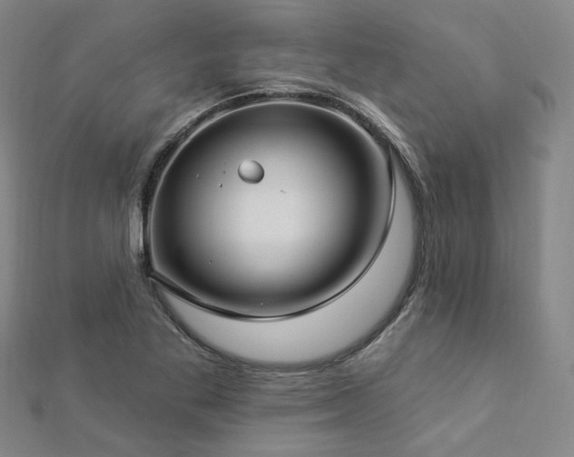 X0000112891269200908211446