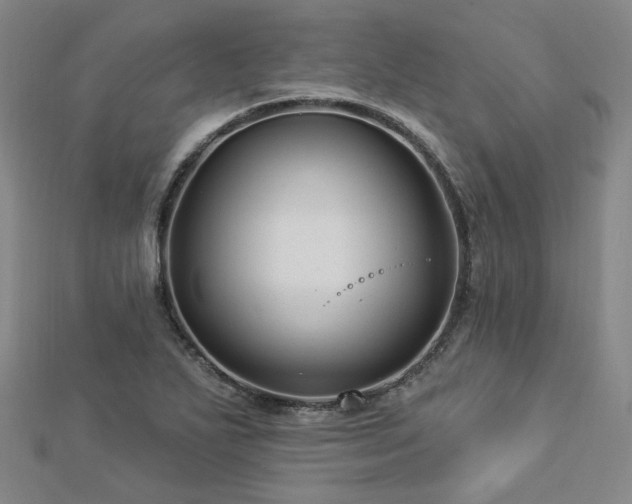 X0000112891271200908211446