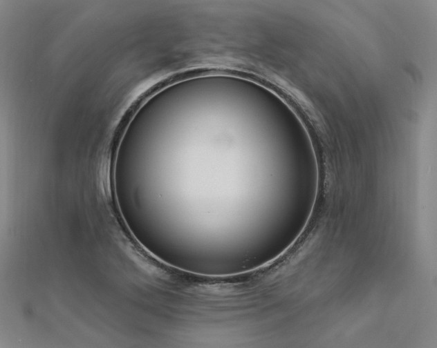 X0000112891272200908211446