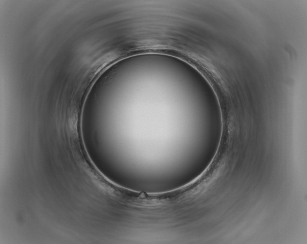 X0000112891273200908211446