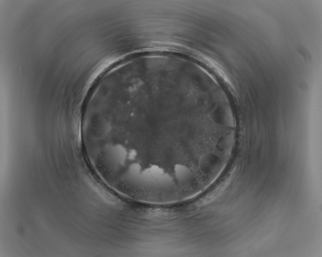 X0000112891275200908211446