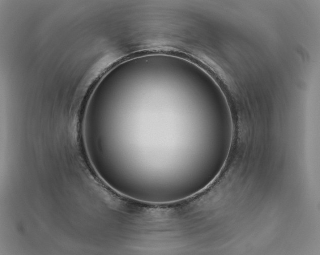 X0000112891277200908211446