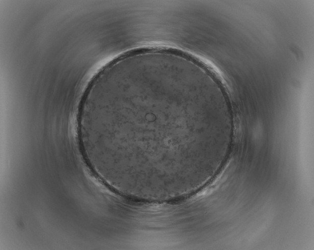 X0000112891279200908211446