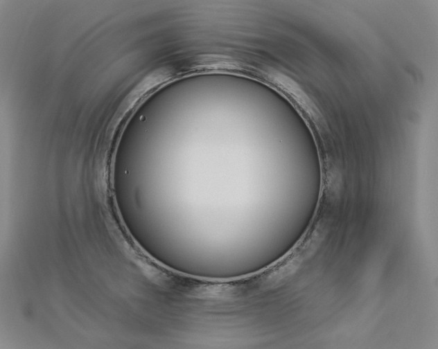X0000112891282200908211446