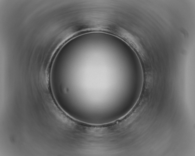 X0000112891284200908211446