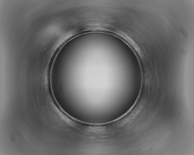 X0000112891285200908211446
